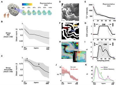 Cortical depth-dependent human fMRI of resting-state networks using EPIK